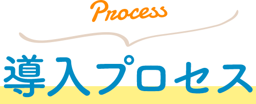 Process 導入プロセス