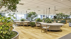 《丸紅×人事事務サポート》当社派遣スタッフ活躍中