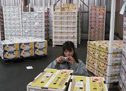 《月収例31万円》空調完備！屋内倉庫でのフォークリフト