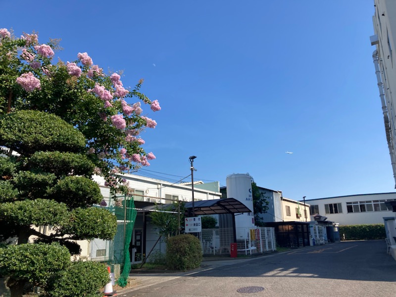 就業先イメージ