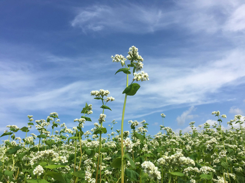 1月開始【月収例28万円★】人気のルーティーンワーク♪