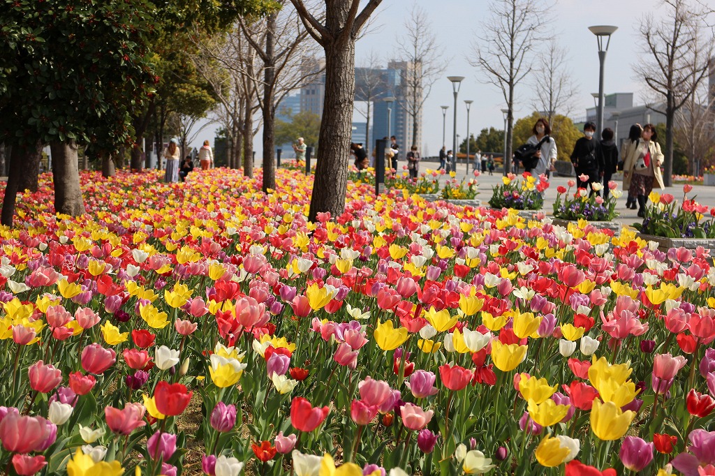 4月開始可◎海沿いの公園巡回♪30代・40代男性活躍中