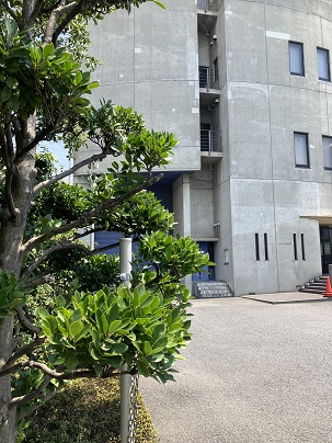 時給1660円♪成長中の半導体業界で組み立て作業★