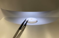 10時開始♪女性活躍中！ダイヤモンドの粒の検査作業★