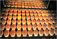 〈週2～5日〉★シフトを自分で決めれる★コツコツかんたん作業