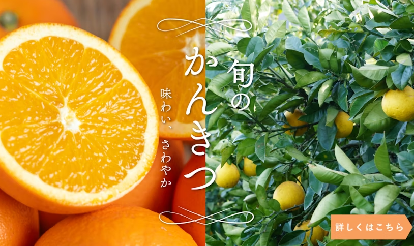 就業先イメージ
