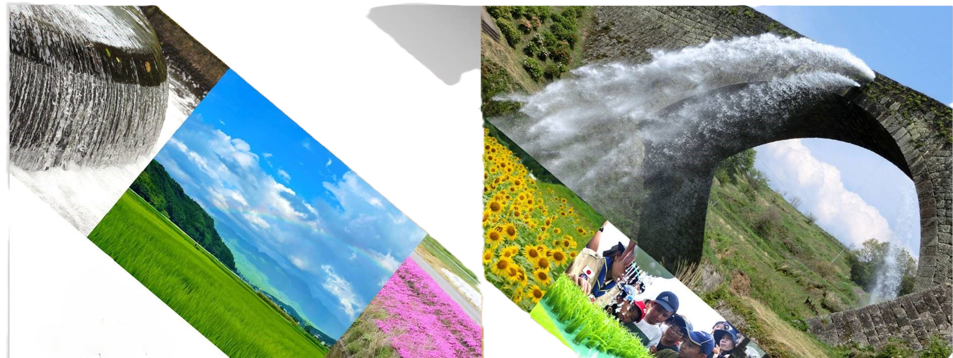 就業先イメージ