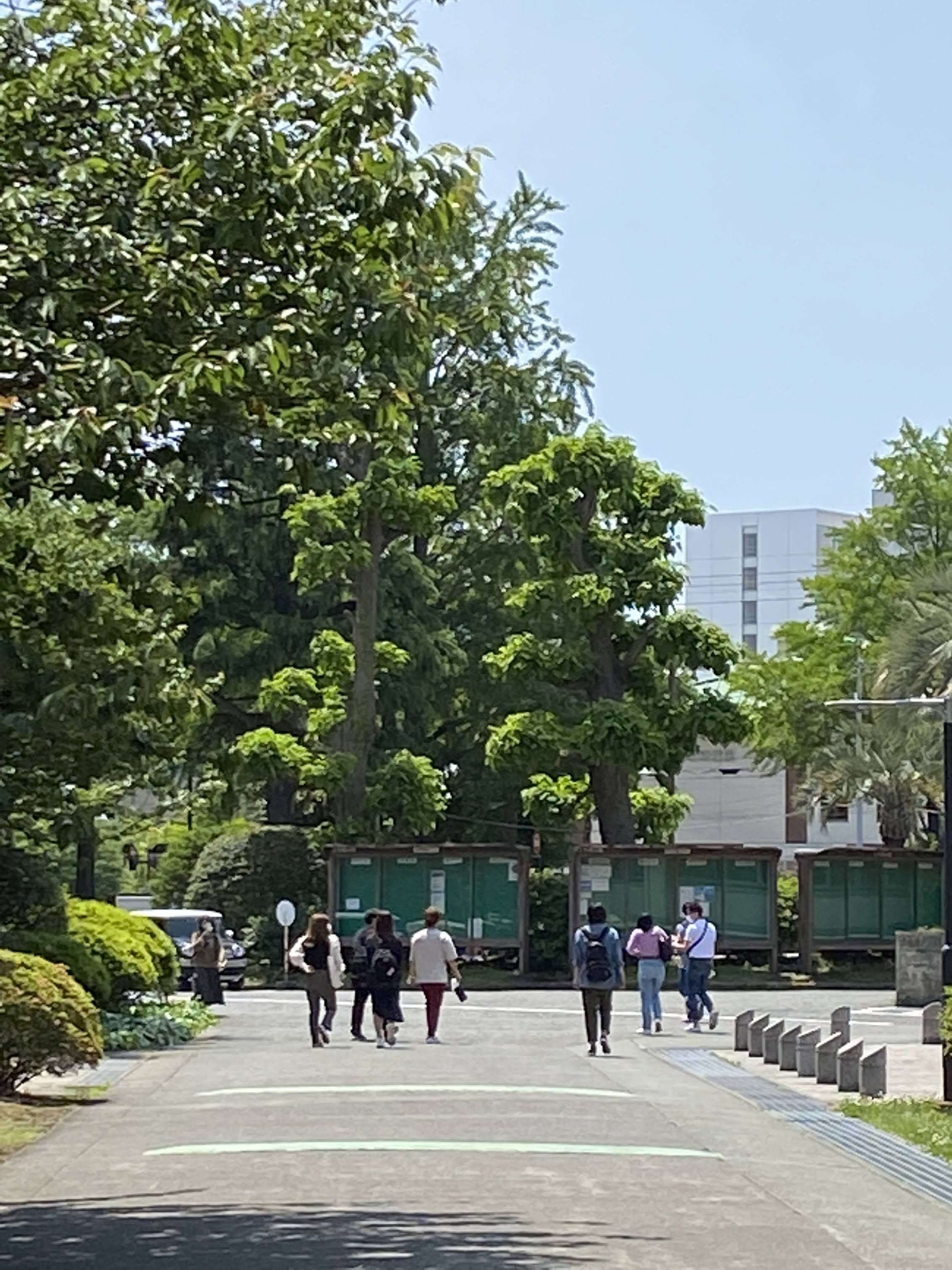 【6月～★市ヶ谷】人気の大学でかんたん事務♪＼定時9-17時／