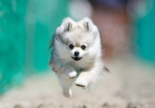 就業先イメージ