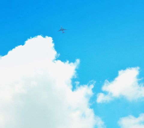 ＜羽田空港＊国内線＞空の旅を色づける♪お土産★接客販売＠1600
