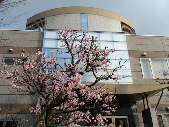 【業務に慣れたら在宅勤務】学会論文誌のデータ作成のオシゴト