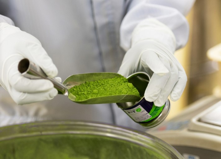 抹茶の品質・微生物検査☆ 京都ジマンの＜抹茶＞づくりに携わる