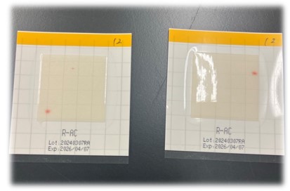 ◇中村区◇未経験可！栄養士や調理師の方に！微生物試験のお仕事