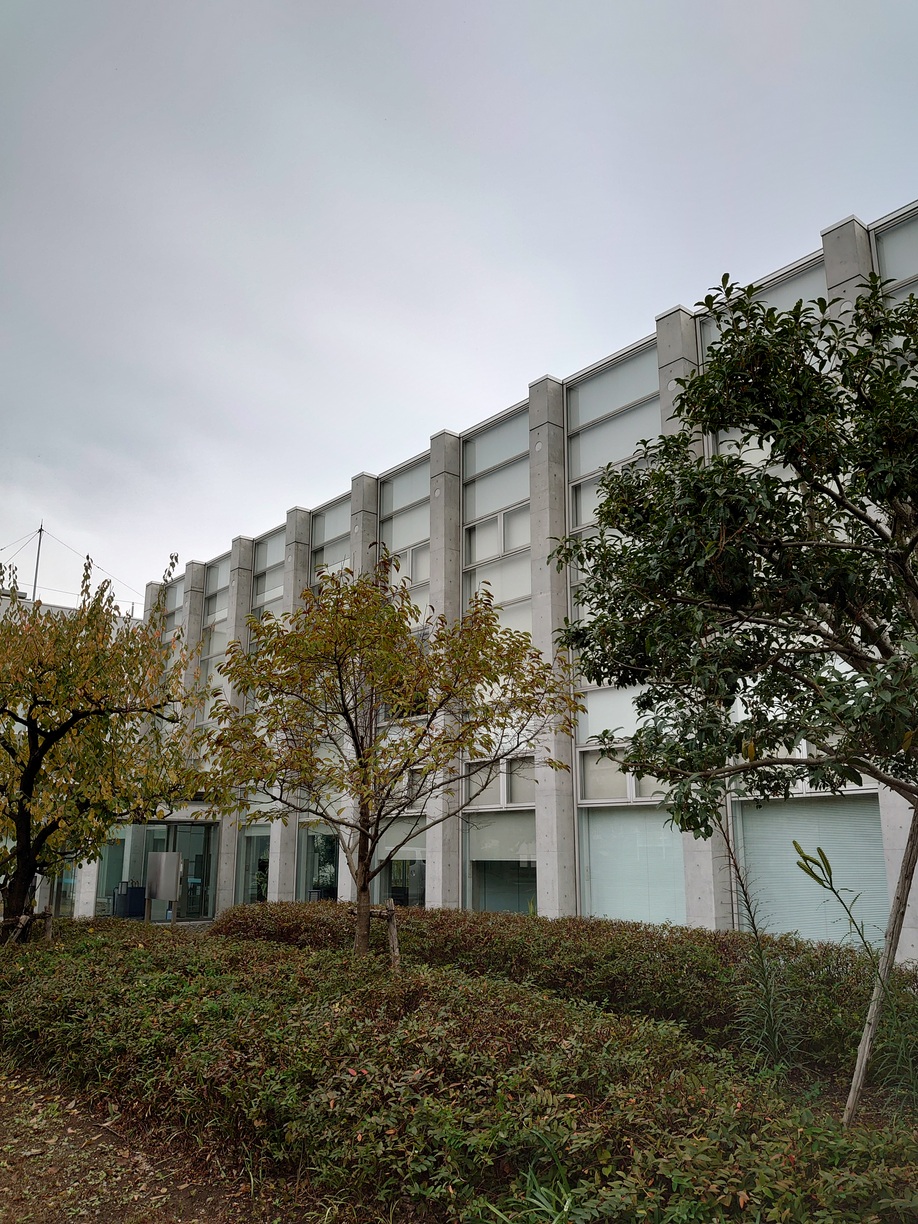【12月まで★期間限定】17時定時♪研究機関×年末調整＠1500円