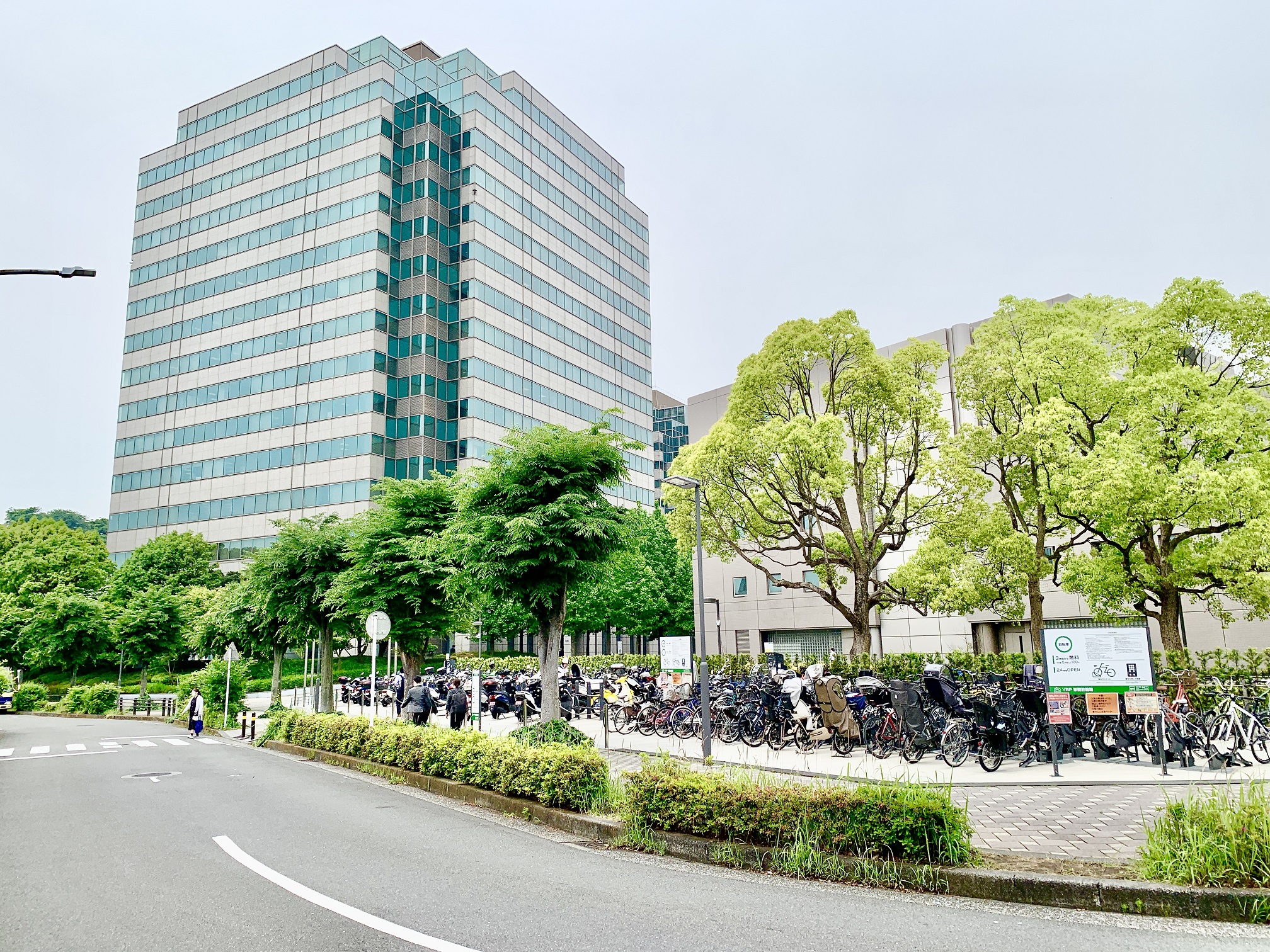 【10月開始】社員実績あり◆フル在宅☆エンジニア＆営業サポート
