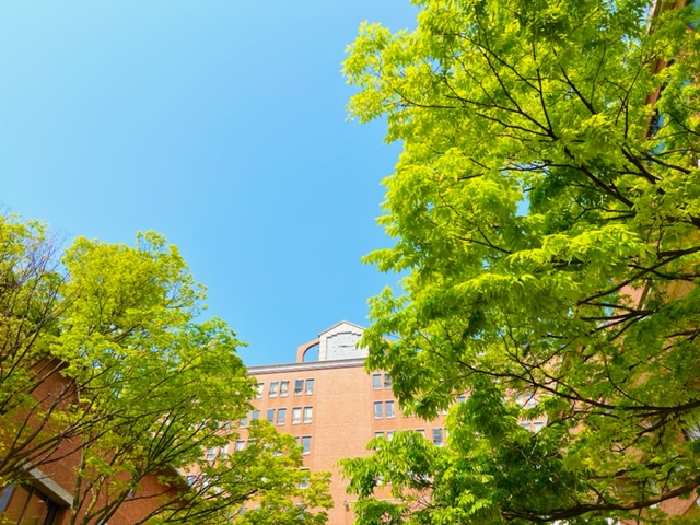＼人気の学校事務♪／夏休み・年末年始はお休み多め！大東市