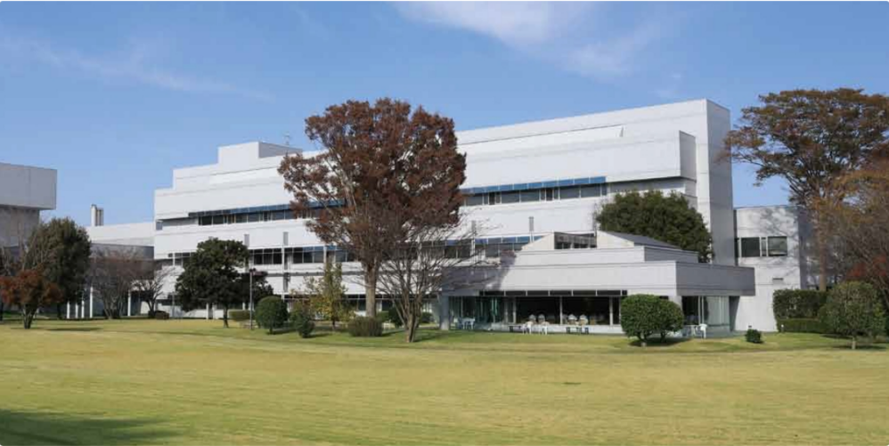 ジェネリック医薬品の薬物濃度測定のお仕事