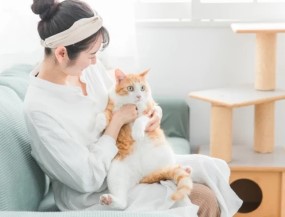 就業先イメージ