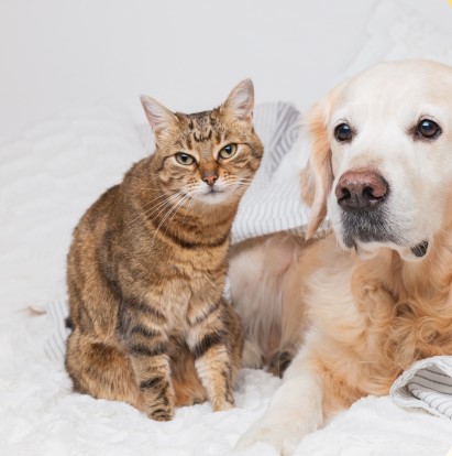 【12月開始】電話対応なし◎長期★カンタン事務♪残業なし☆彡