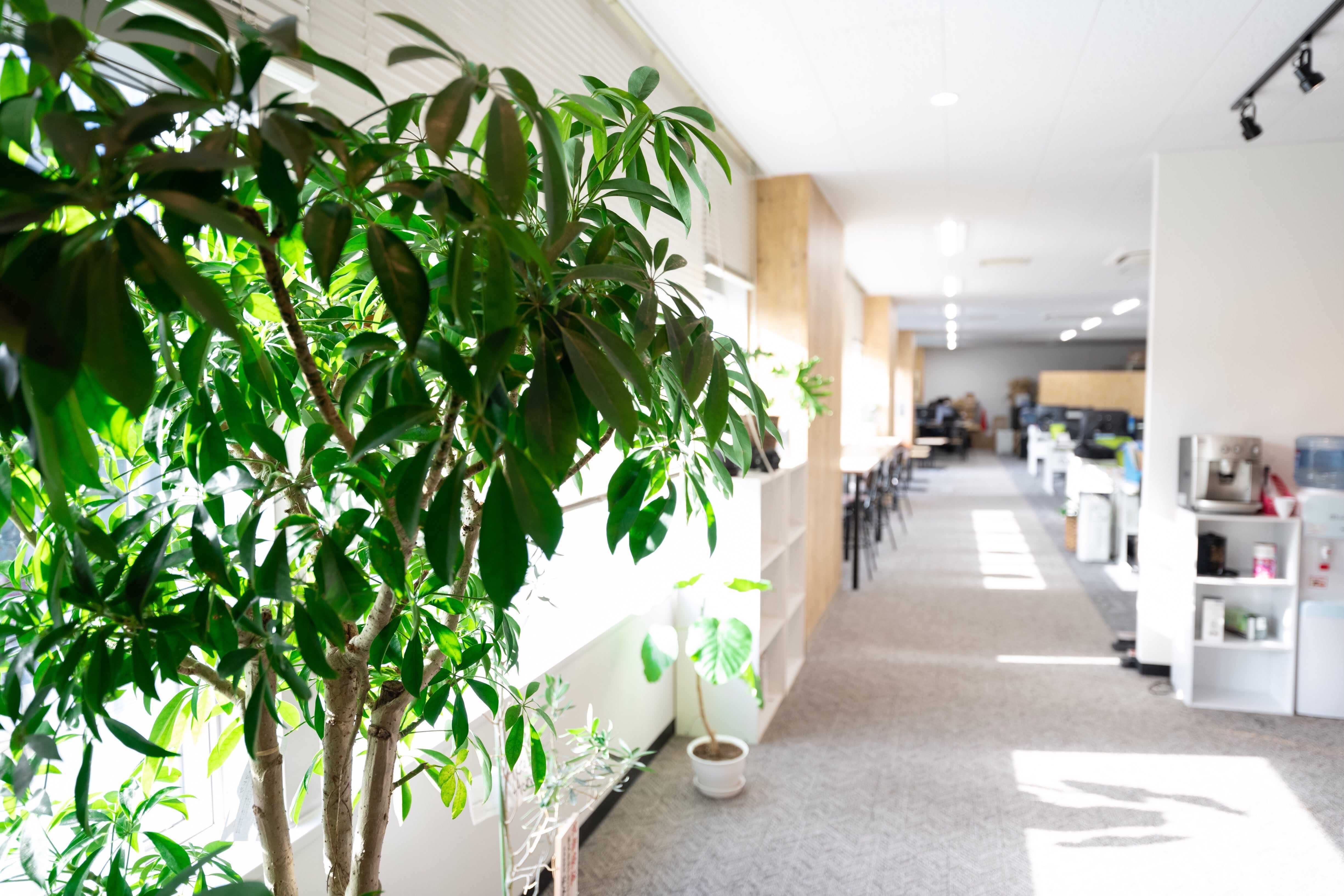 ＼未経験OK☆／20代･30代活躍★ネイル･デニム自由★かんたん事務