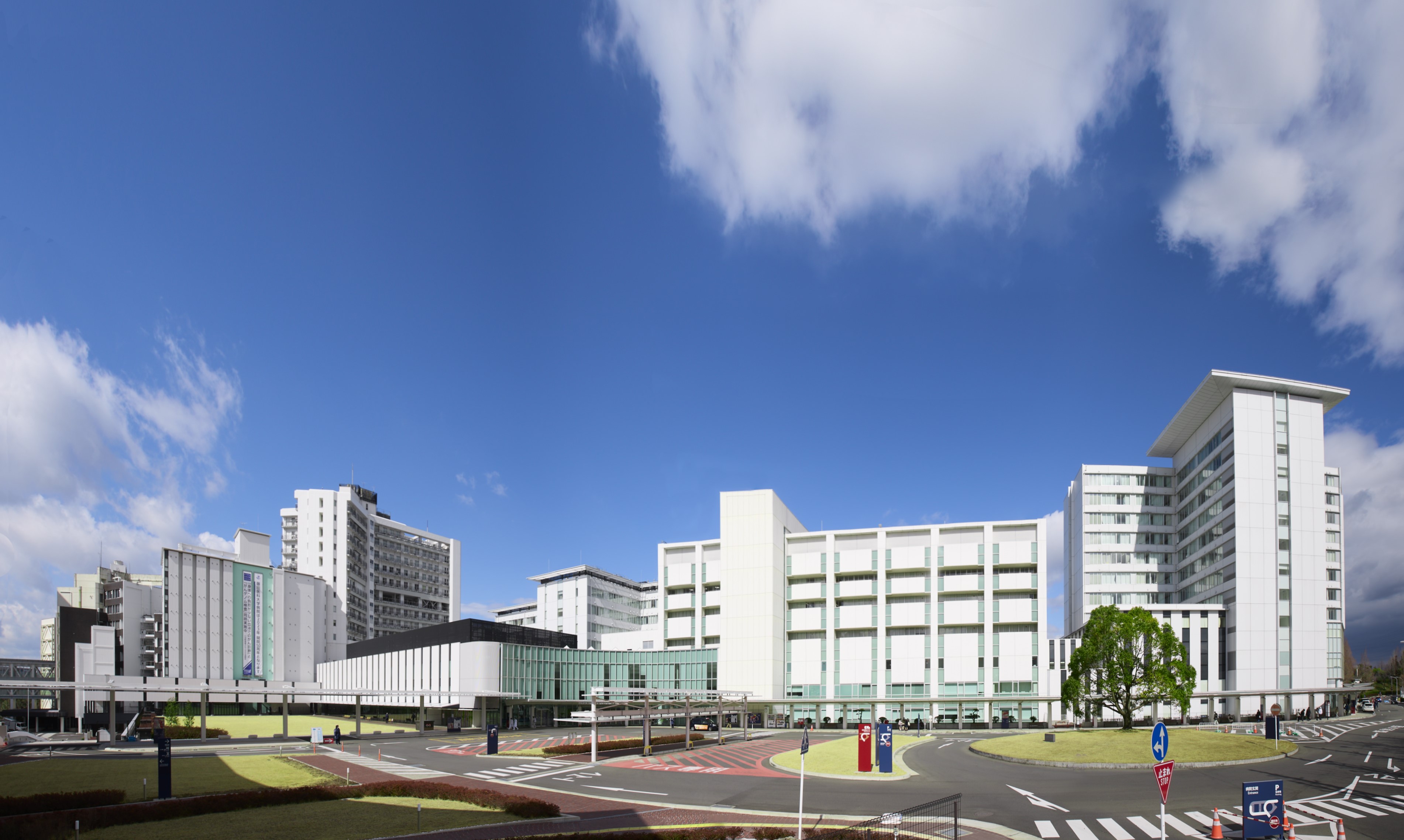 【週5日×6時間15分】期間限定☆大学病院の研究室で秘書業務♪