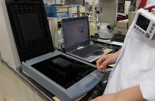 【三宮/期間限定】4月転職に備える♪ブランクOK！食品の分析