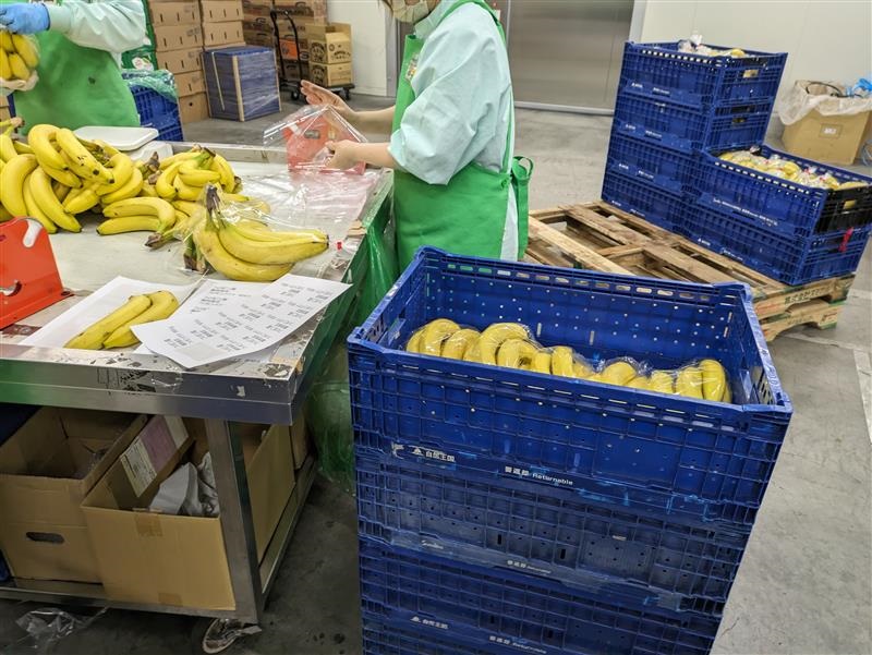 ＼難しくない♪かんたん軽作業／果物のピッキング作業◎＠古賀