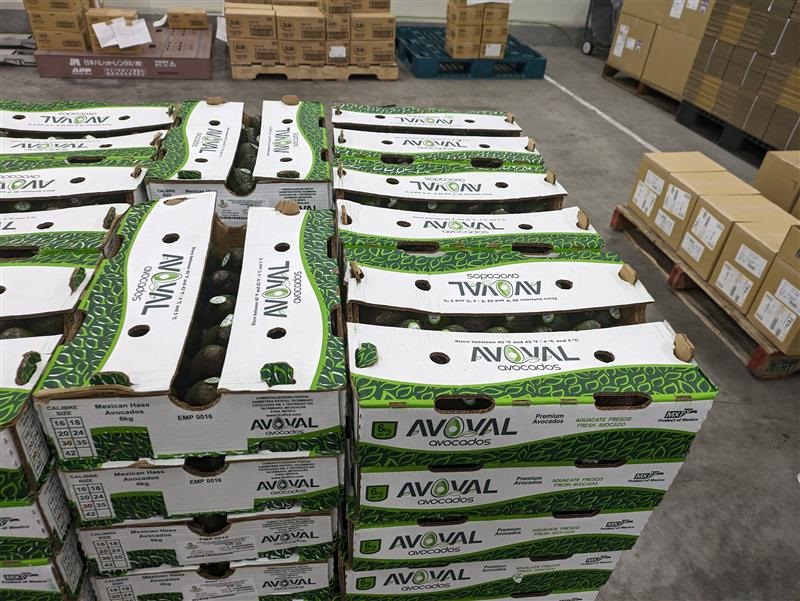 ＼超簡単！フルーツのピッキング◎／日曜固定休☆嬉しいシフト制