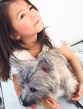 9:00～17:00定時★ペット用品商社のサポート事務★本厚木･車OK