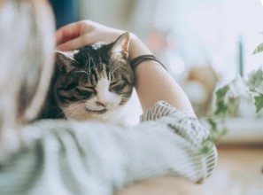 【未経験OK】ペットの幸せに貢献☆17:00定時の事務＠本厚木