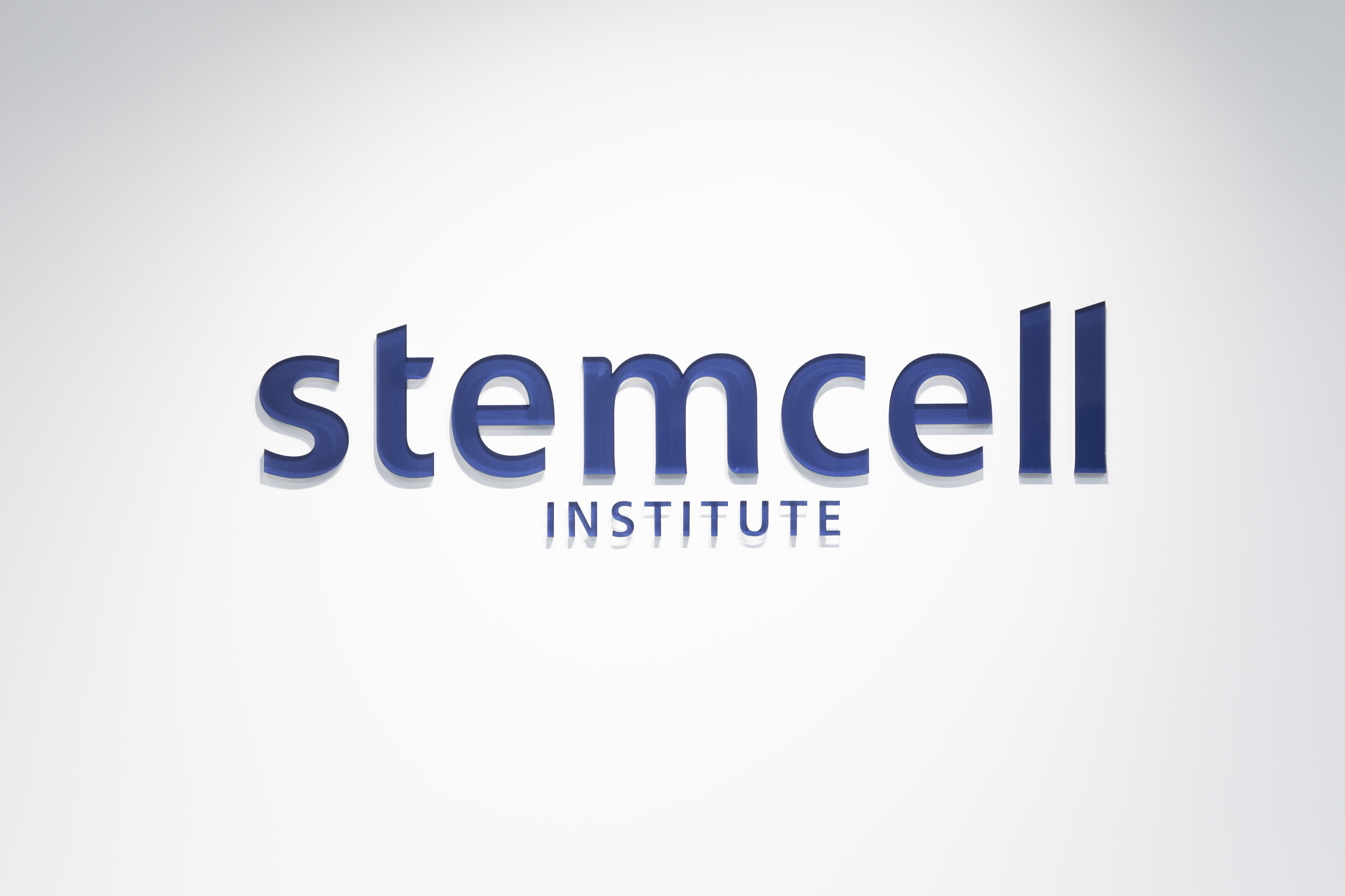 就業先イメージ