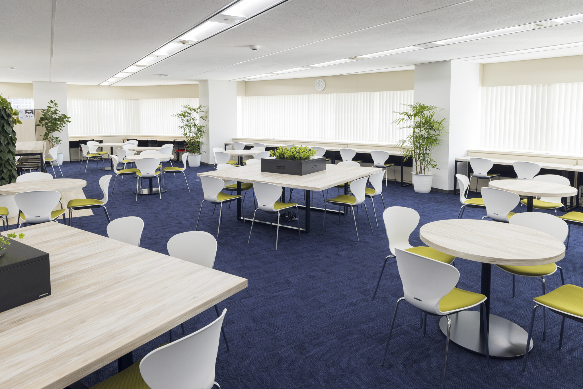 就業先イメージ