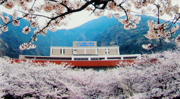 うれしい昇給あり↑↑調理補助のお仕事♪未経験からチャレンジOK