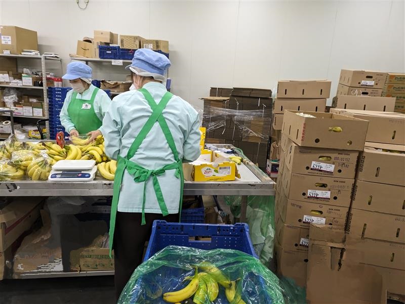 <果物のピッキング＆検品>月収20万～↑未経験◎人気の電話ナシ★