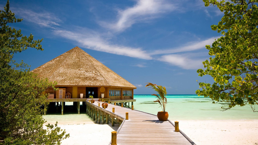 ＜夢が膨らむ♪海外旅行＞電話すくなめ★かんたん部内サポート☆