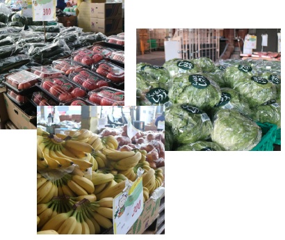 ★毎日フレッシュ！尻手の企業！野菜果物といったらココ★