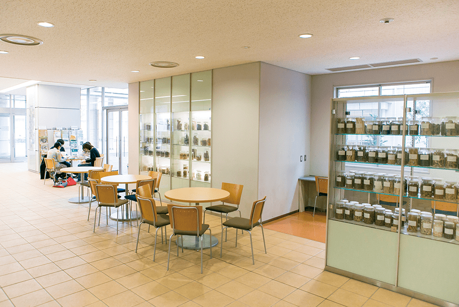 ＜車通勤OK＞理系大学で学生アシスタント＆研究補助