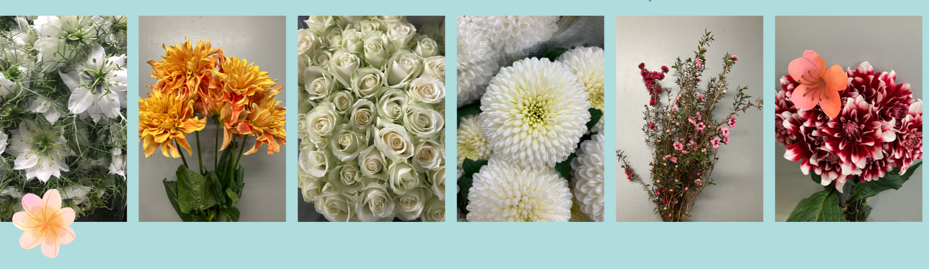 髪色・ネイル自由★「授業終わりにちょこっと4時間」データ入力