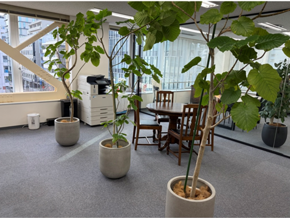 就業先イメージ