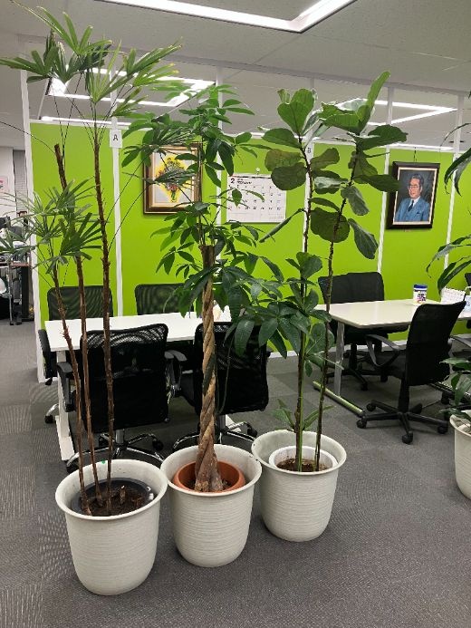 ＼選べる勤務時間／週4OK×残業なし★コツコツ労務＆総務サポ！