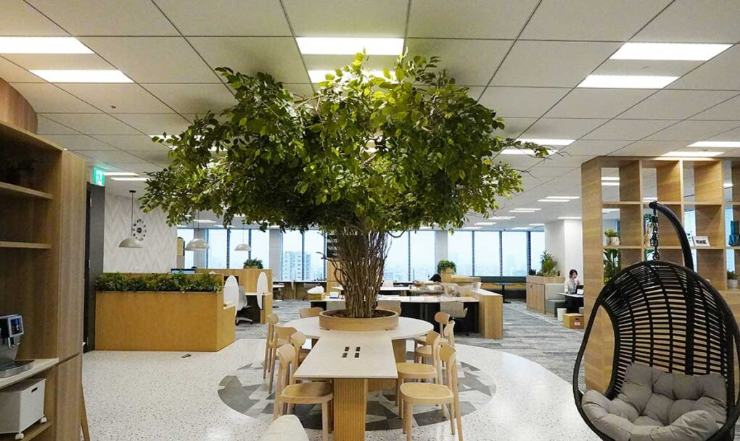 ＼40・50代活躍中！／社内に緑のあるオシャレoffice★一般事務