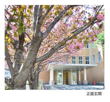 就業先イメージ