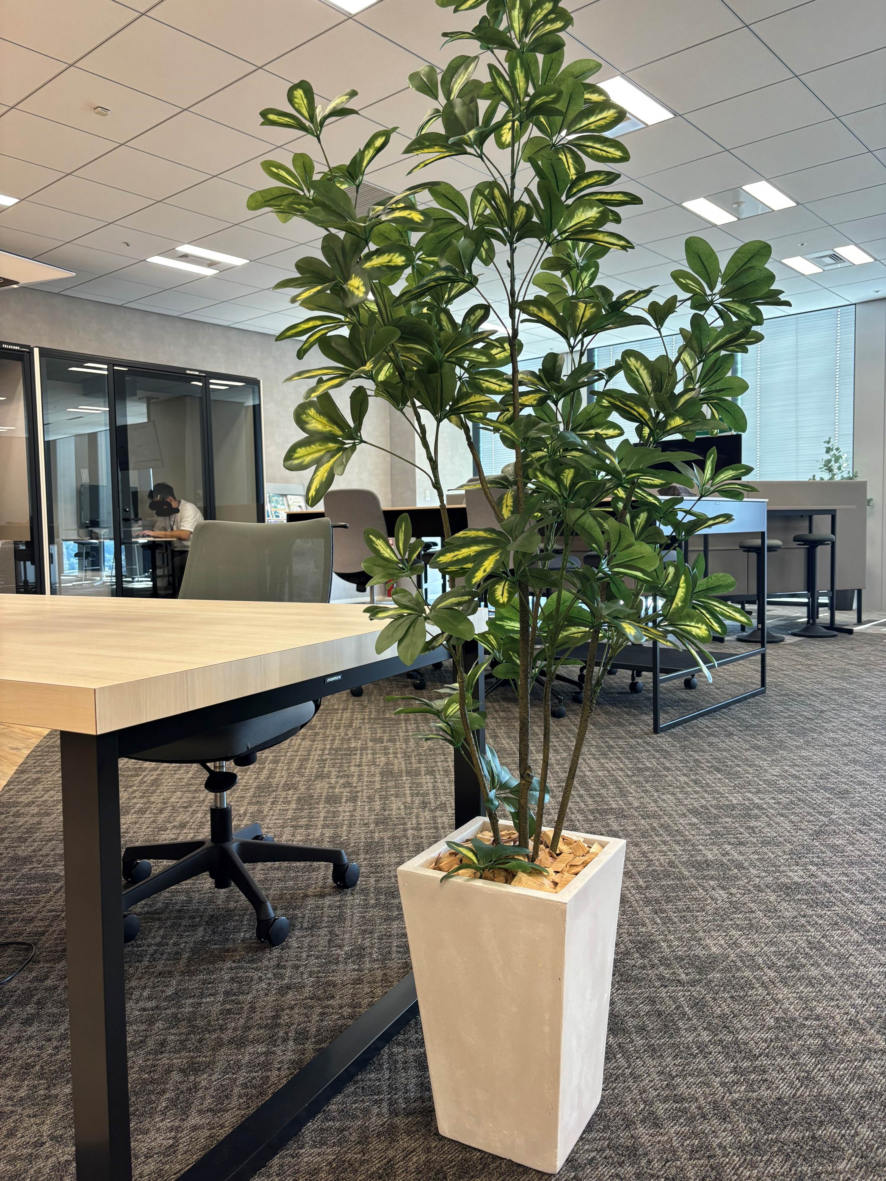 『横浜＊働き方を選べる』1日4～7H×週3～5日★大手で電話発信★