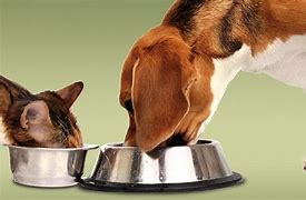 【1550円】土日祝休み★マイカー通勤OK○長期◎出荷サポート♪