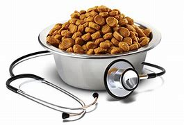 就業先イメージ