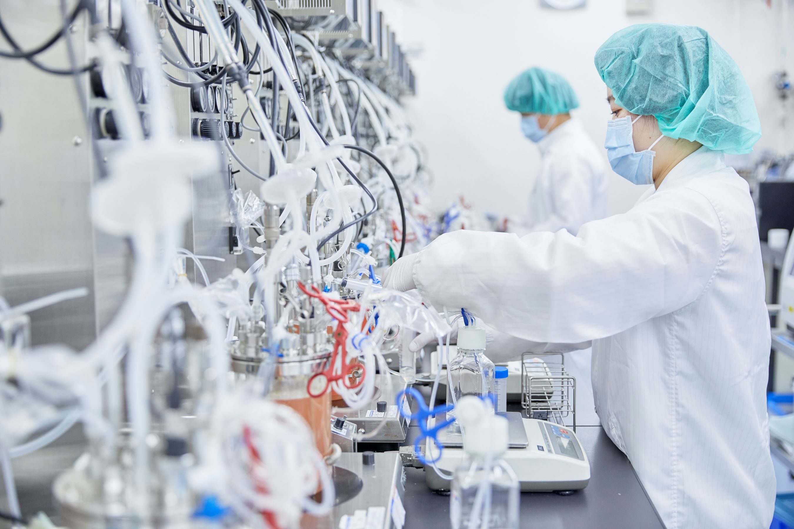 ＜学生経験OK＞バイオ医薬品の開発に伴う生化学実験