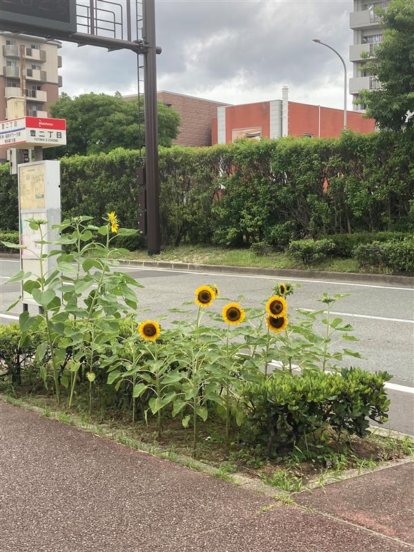 ◇期間限定◇あの大手食品メーカーで人気のピッキング作業◎