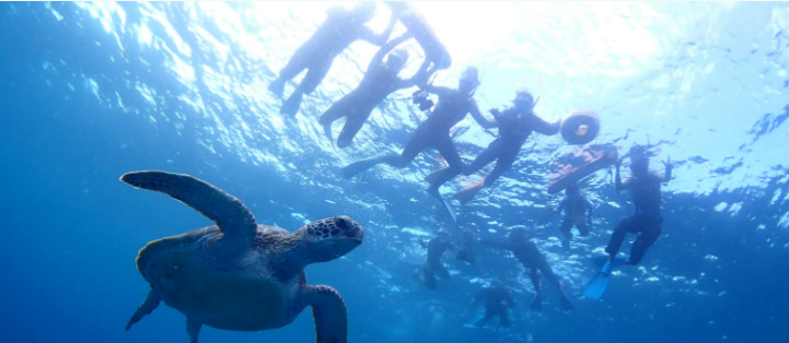 服装・髪色ジユウ★10時START《遊びの会社★×営業事務》