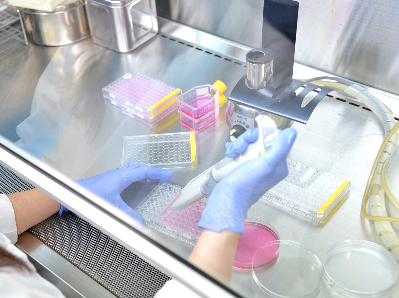 《業界未経験OK！》食品や医薬品の分析アシスタント