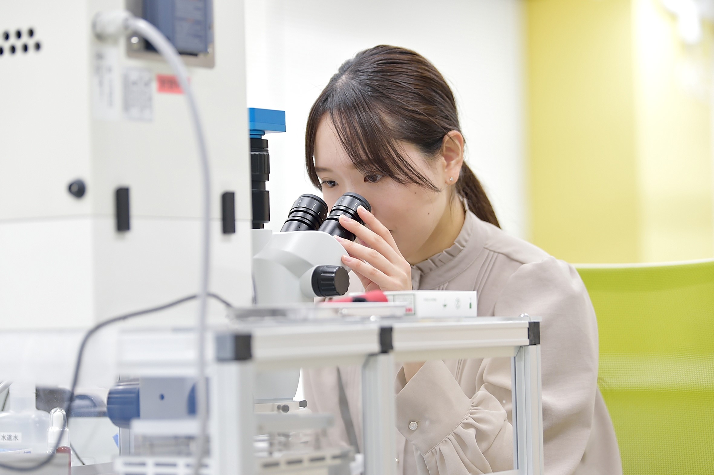 就業先イメージ